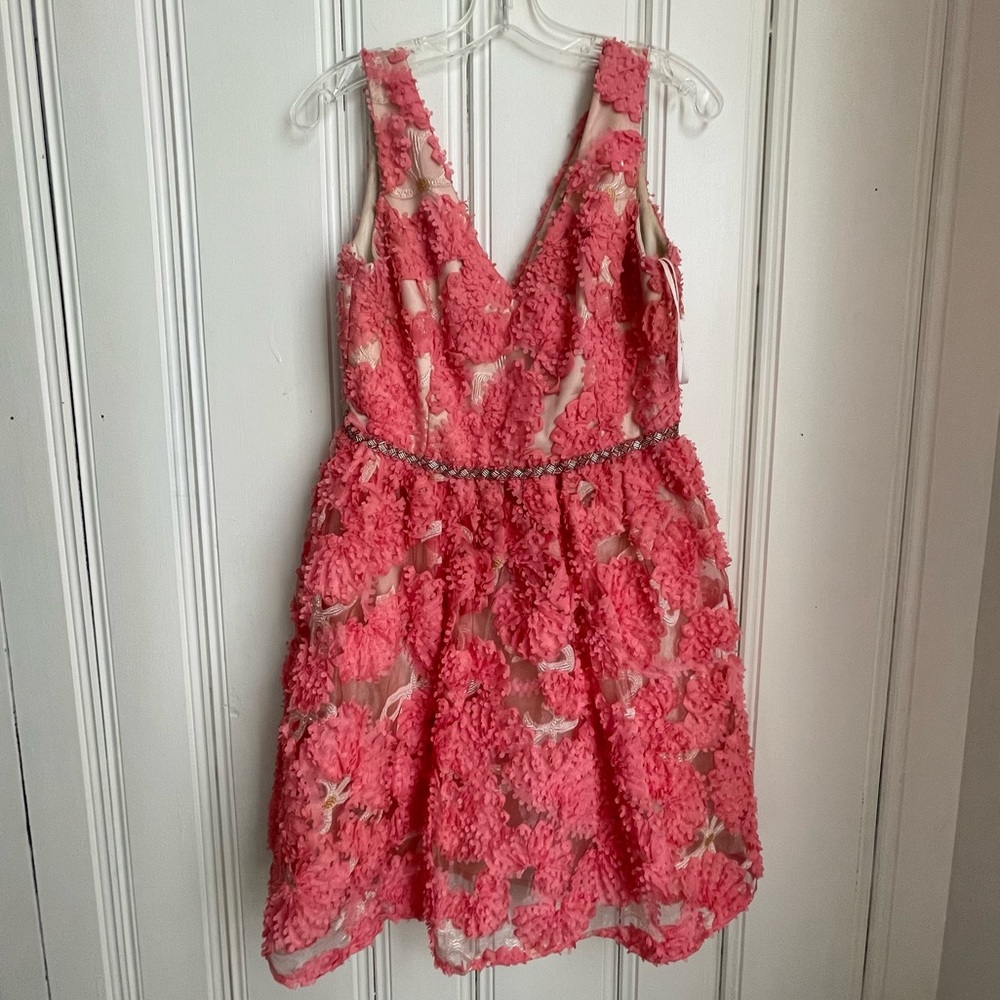A. Drea Floral Appliqué mini dress